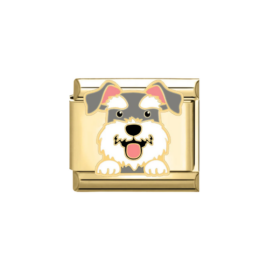 Charm Schnauzer Plateado & Dorado