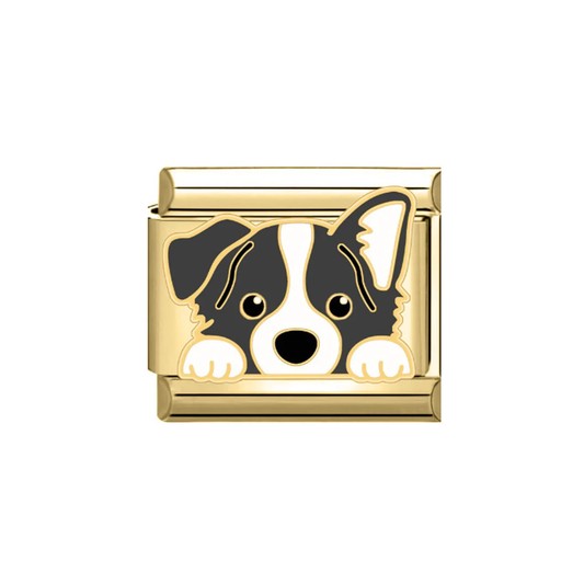 Charm Border Collie Plateado & Dorado