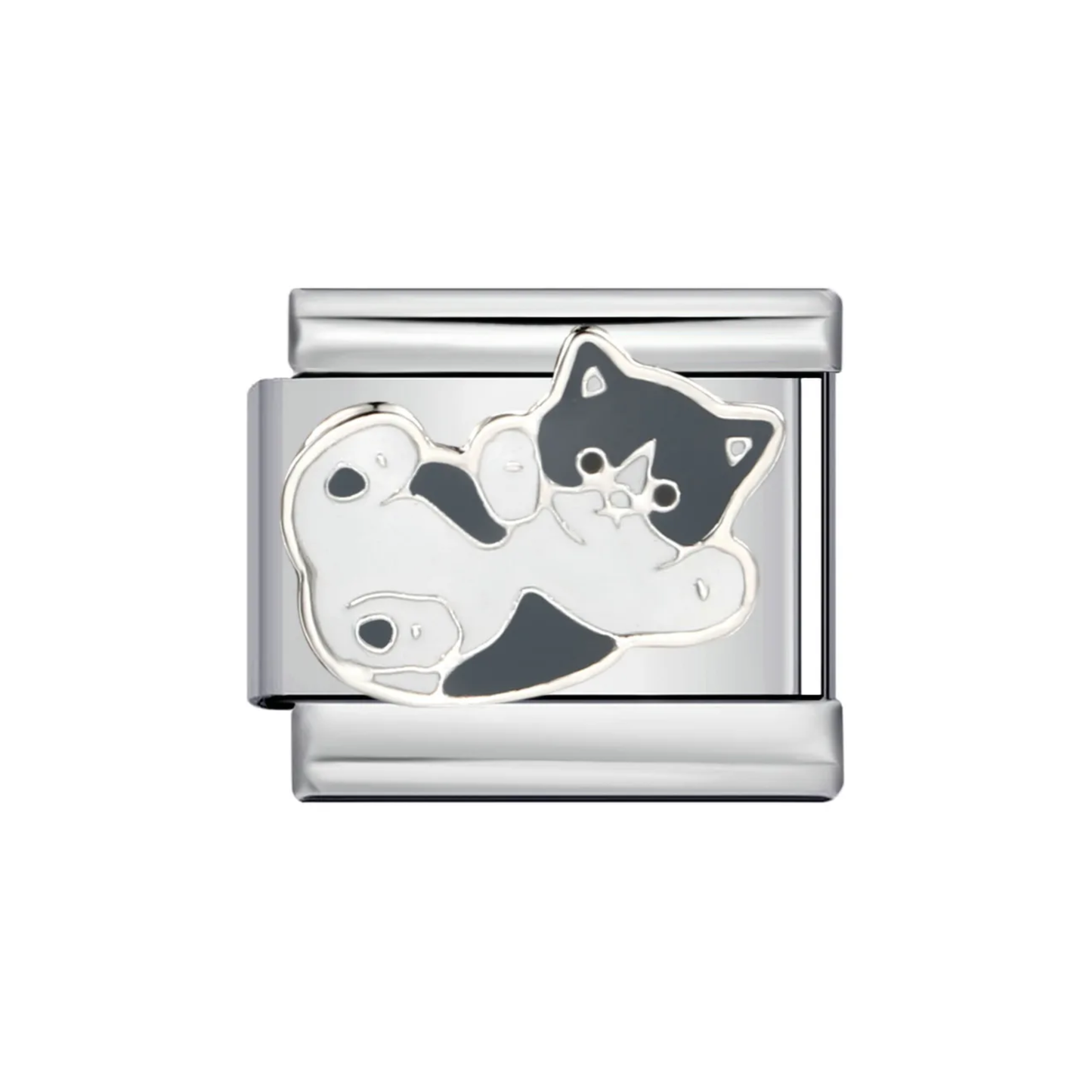 Charm Gatito