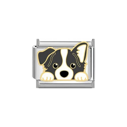 Charm Border Collie Plateado & Dorado