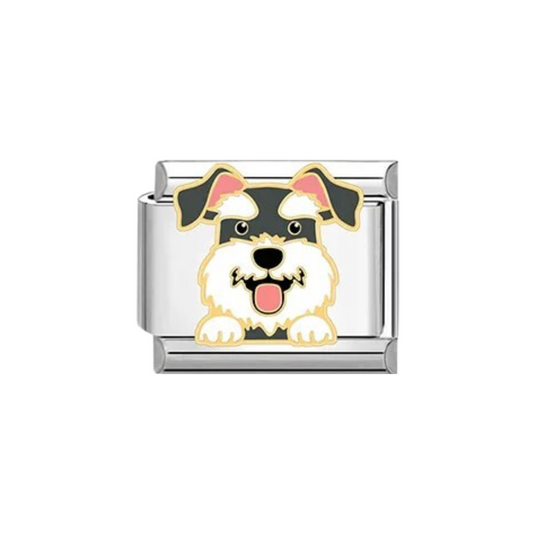 Charm Schnauzer
