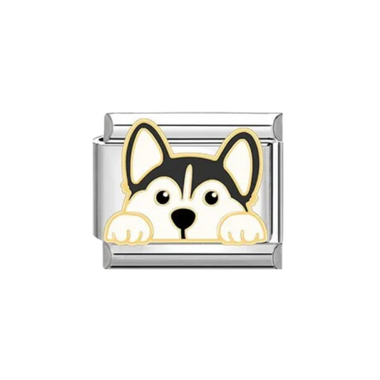 Charm Siberian Husky