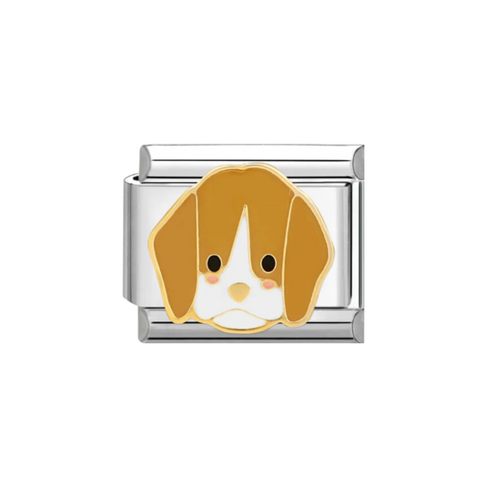 Charm Mascota