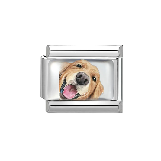 Charm Golden Retriever