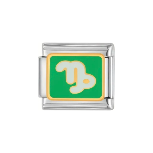 Charm Capricornio