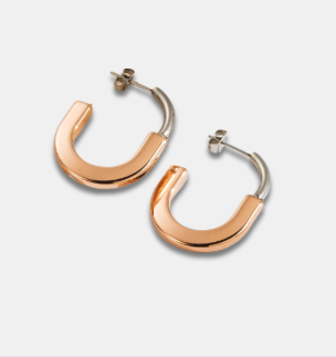 Pendientes de Aro Bicolor T