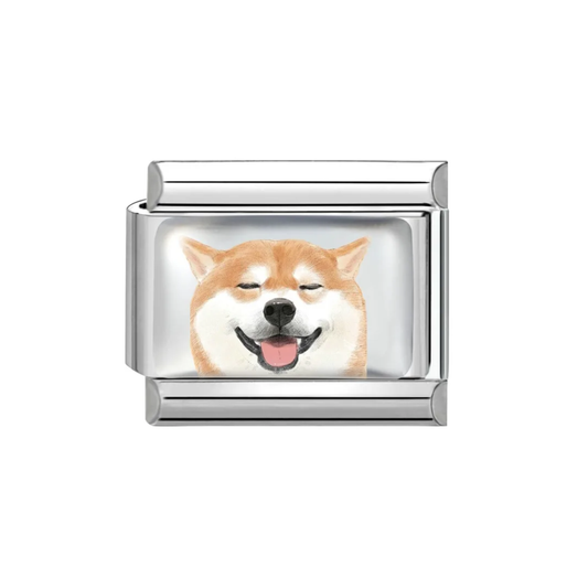 Shiba Inu Charm
